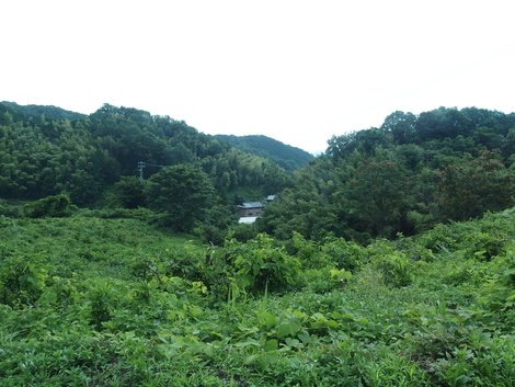 初代ゲームボーイ型ポスト 香川県で新築 注文住宅なら中庭住宅 一戸建 優良住宅 木造住宅