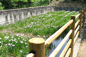 2008年　当社から県への寄付金を活用して、公渕公園内のショウブ園に丸太フェンスが整備されました。