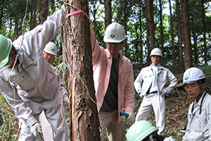 2009年4月　塩江町安原下で間伐と下草除去を実施しました。