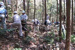 2010年4月　塩江町にて間伐と下草除去を行いました。