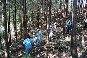 2011年4月　塩江町にて間伐と下草除去を行いました。