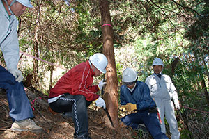 2012年4月　塩江町にて間伐と下草除去を行いました。
