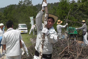 2013年7月　豊島産業廃棄物処理施設の視察と豊島国定公園で森林伐採と清掃活動を実施しました。